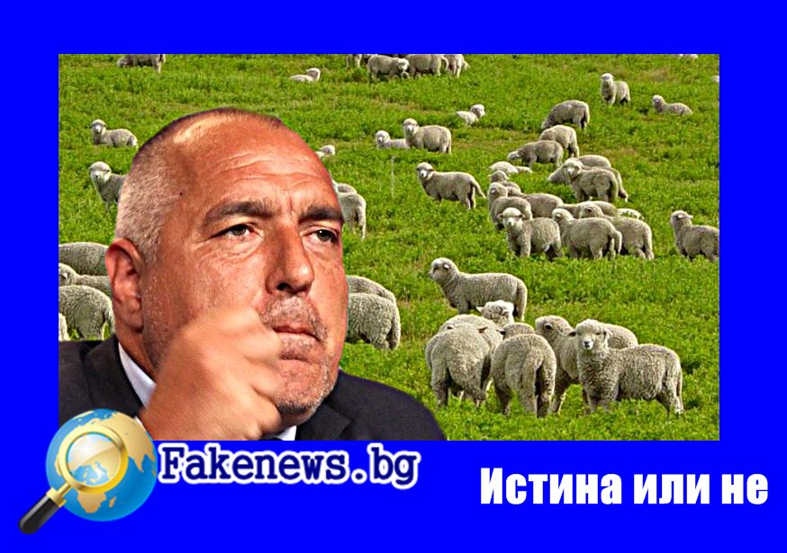 Истина или не! Бойко Борисов вече не се търсят овчари 