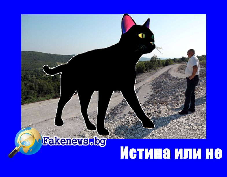 Истина или не! Евтаназия на всички черни котки в страната ще поиска Борисов ! 